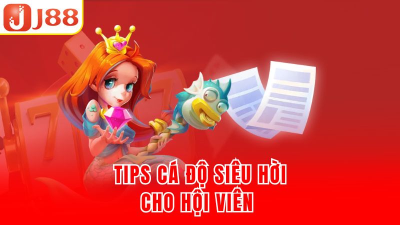 Tips cá độ siêu hời cho hội viên